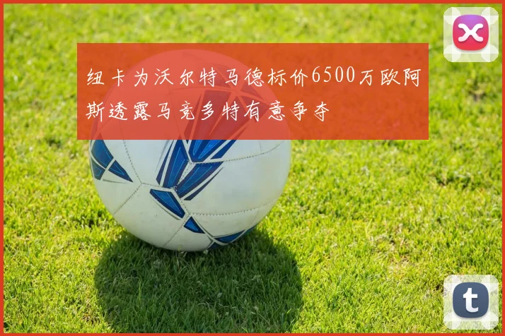 纽卡为沃尔特马德标价6500万欧阿斯透露马竞多特有意争夺